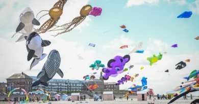 Berck-sur-Mer : le plus grand ballet de cerfs-volants du monde revient dans quelques jours