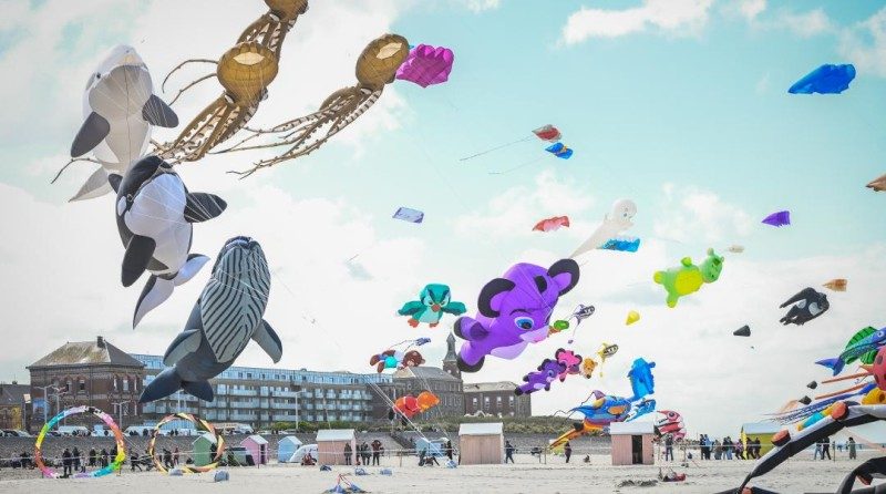 Berck-sur-Mer : le plus grand ballet de cerfs-volants du monde revient dans quelques jours