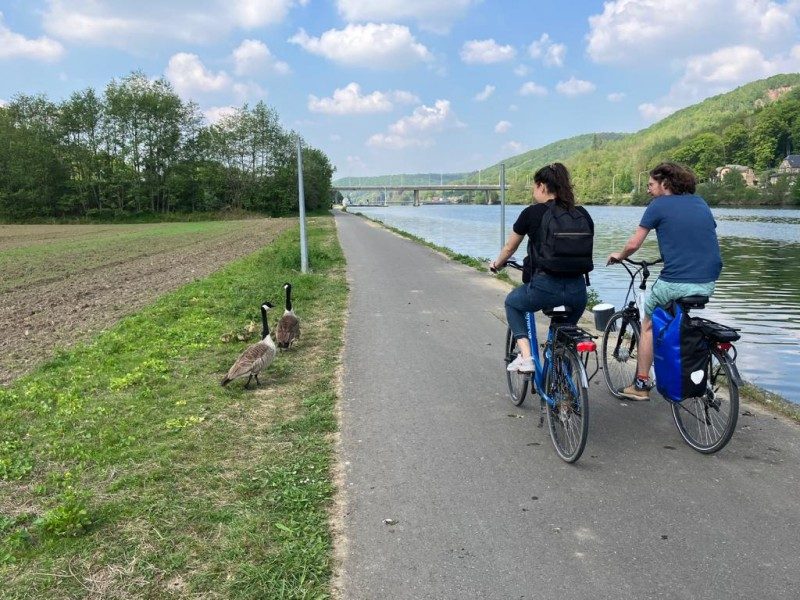 Pour ses 50 ans, Petit Futé accélère sur le vélotourisme et le tourisme sportif 1