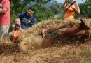Running, trail : un guide pour courir plus longtemps sans se blesser
