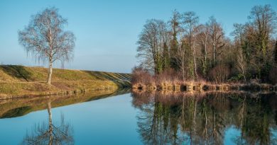 Gravel : le Sundgau lance les premiers parcours labellisés en Alsace