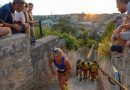 Grand Poitiers, un été placé sous le signe du sport et de la découverte