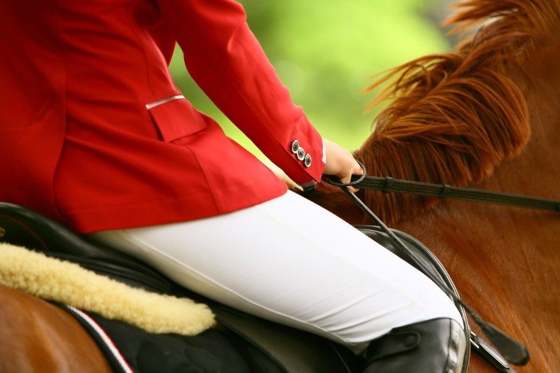 Le Horse GP Paris veut réinventer le saut d'obstacles à l'Accor Arena 1