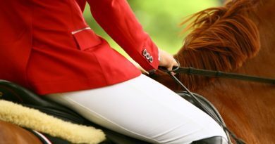 Le Horse GP Paris veut réinventer le saut d&rsquo;obstacles à l&rsquo;Accor Arena
