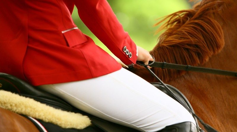 Le Horse GP Paris veut réinventer le saut d&rsquo;obstacles à l&rsquo;Accor Arena